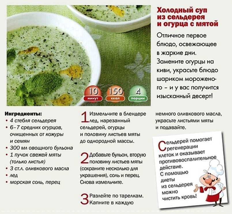 Сельдерей польза и вред