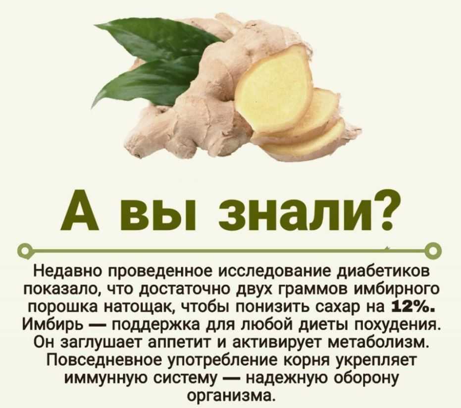 Полезные свойства имбиря для организма и противопоказания особенности продуктов из имбиря