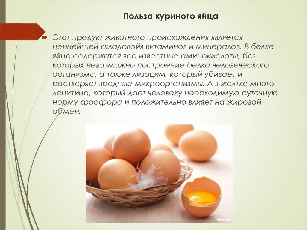 Яйцо🥚 в диетическом питании: вред, польза, диета