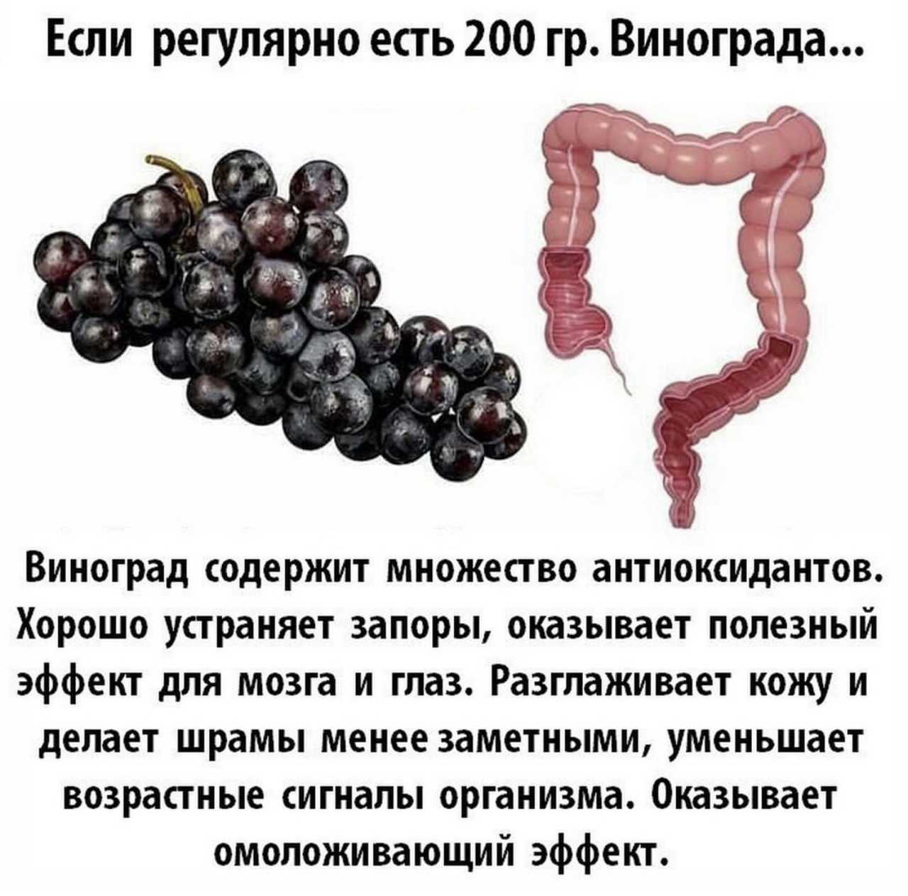 Виноград при похудении, правила приема, виноградные диеты