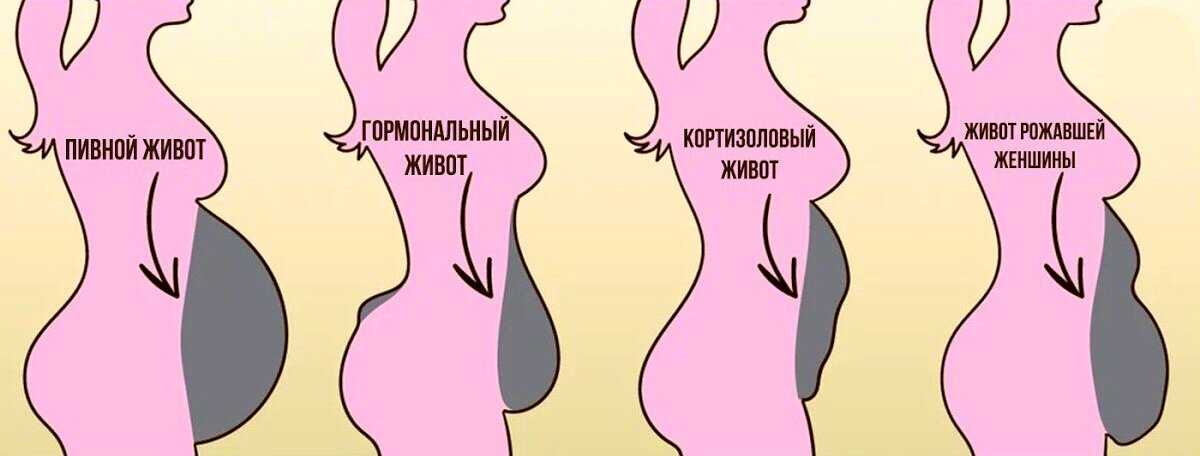 5 типов женских животиков. вот как убрать каждый из них! — совет