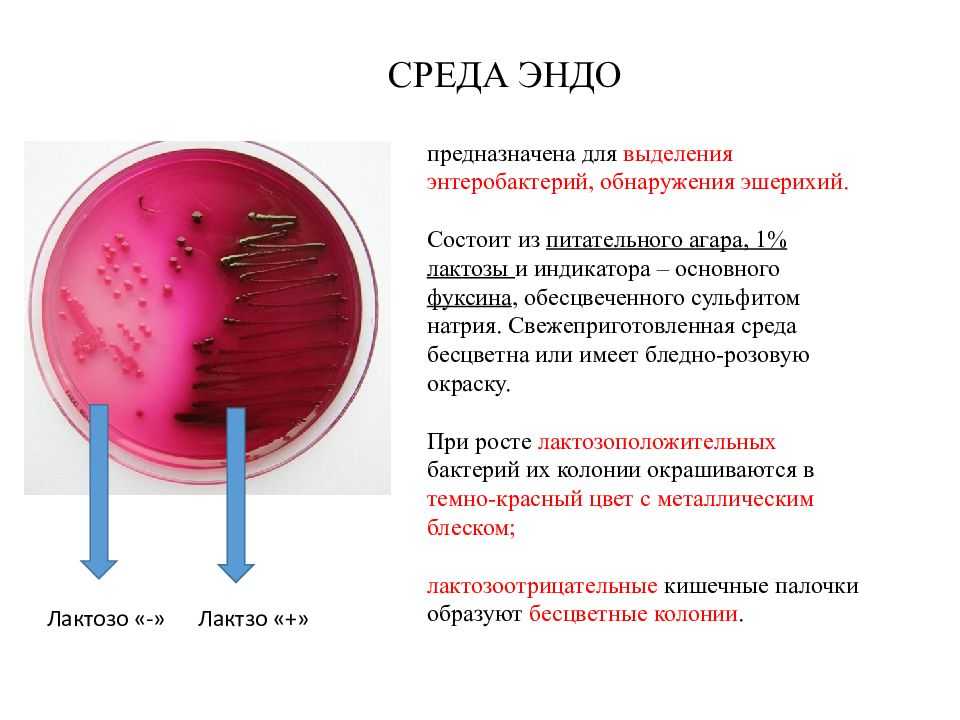 Ефремовский территориальный отдел о пользе и вреде мороженого