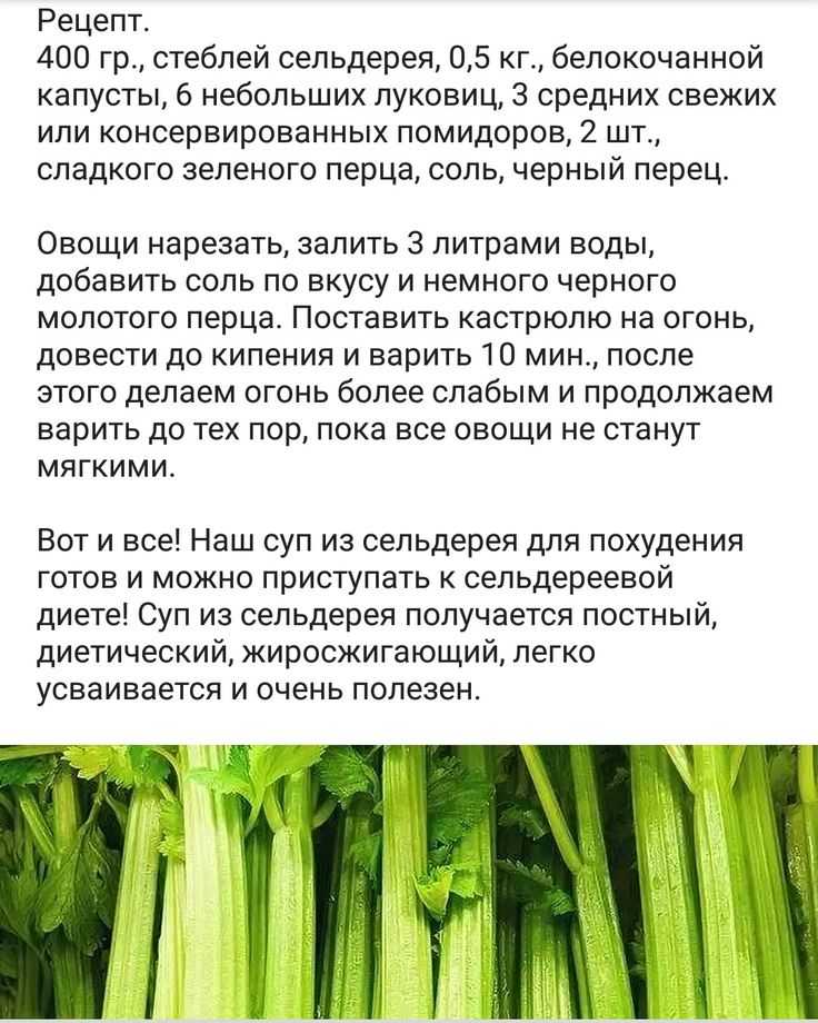 Рецепты блюд из стеблей сельдерея для похудения с фото - как приготовить в домашних условиях для меню