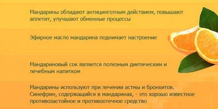 Мандарин: польза и вред для здоровья организма человека - globalsib