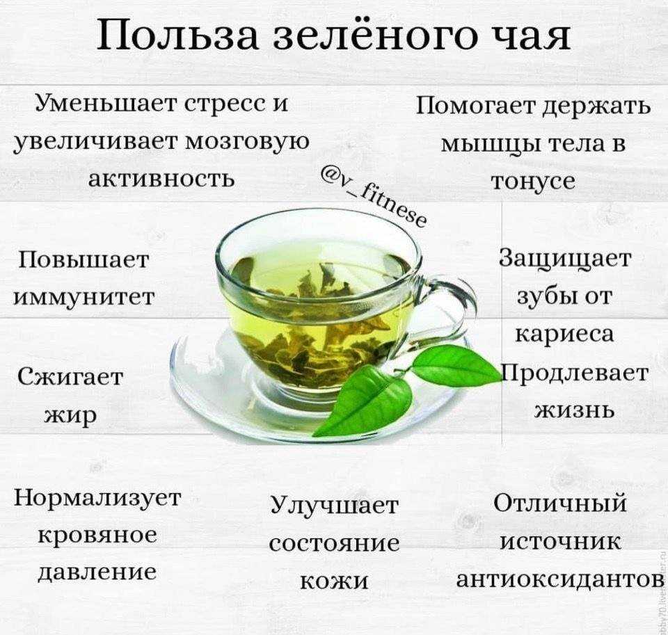 Гречишный чай: польза и вред, свойства, особенности употребления