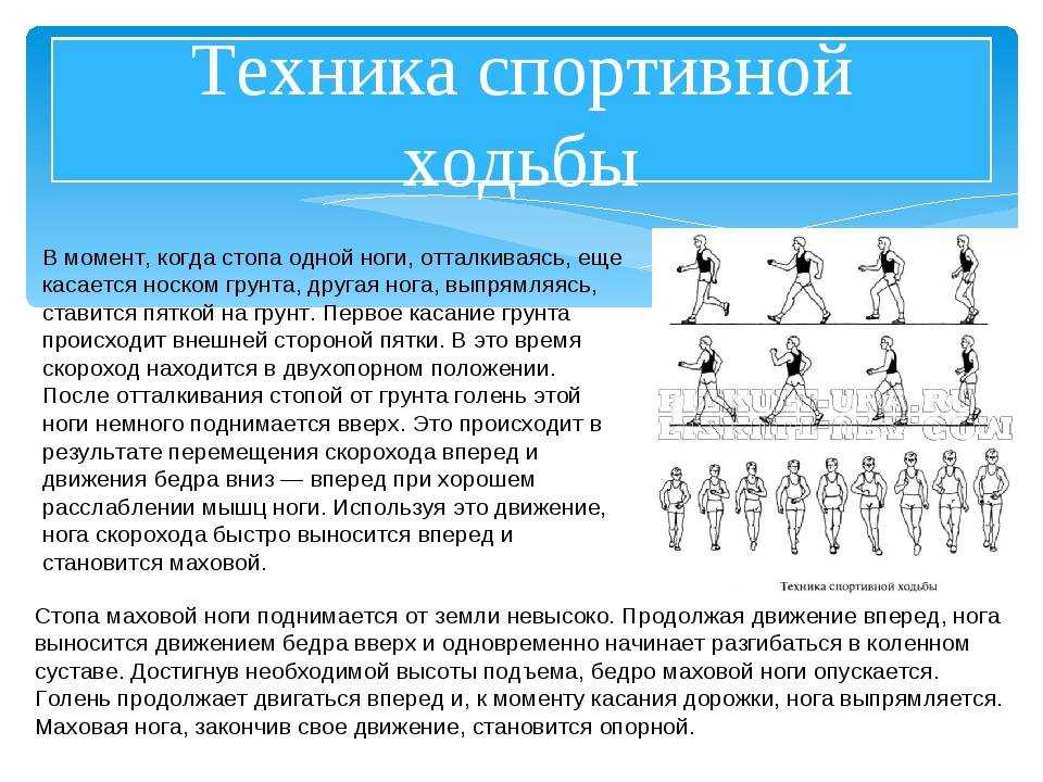 Как правильно научиться правильно ходить и правильно бегать. профессиональные советы