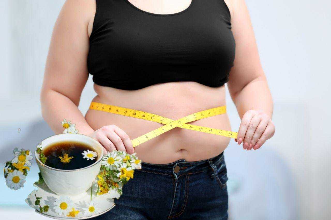 Какой зеленый чай лучше для похудения: сорта и полезные свойства - allslim.ru