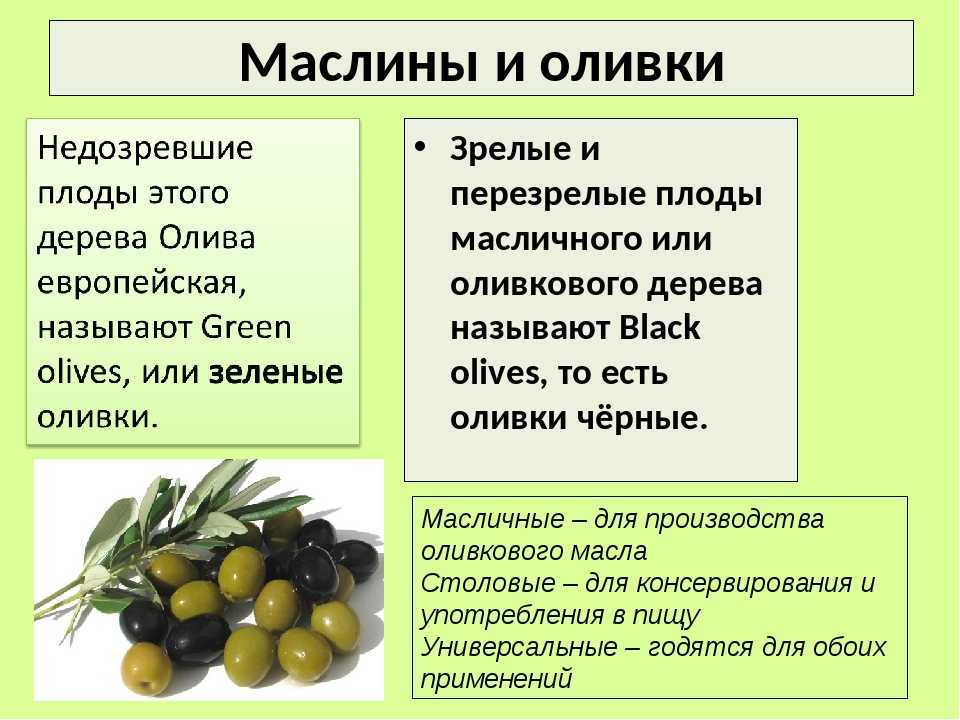 Какая разница между черными и зелеными оливками