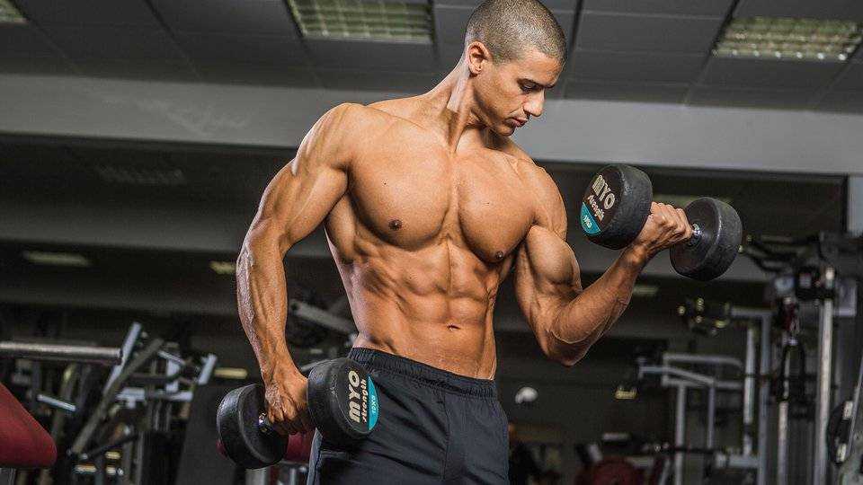 Hiit тренировки: что это такое, основные принципы и программы