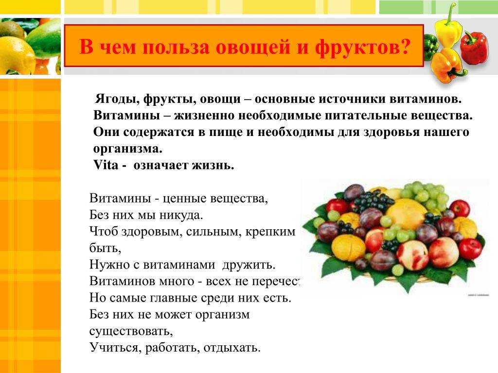 Сливочный крем суп — его польза для пищеварения и секреты приготовления
