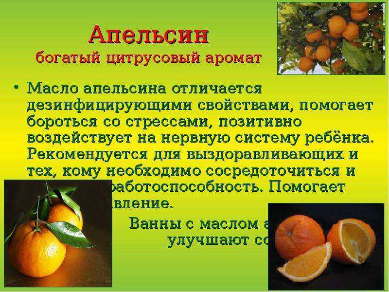 Апельсины: польза и вред для здоровья