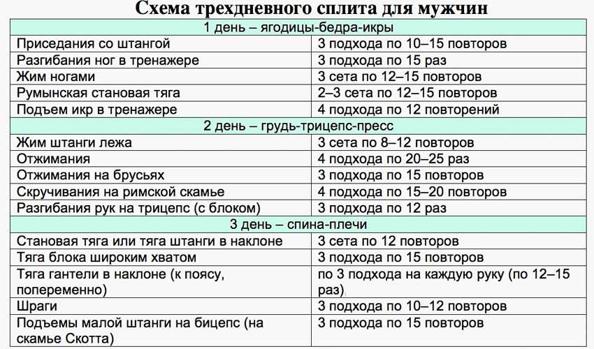 Как составить программу тренировок в тренажёрном зале: 7 важных правил