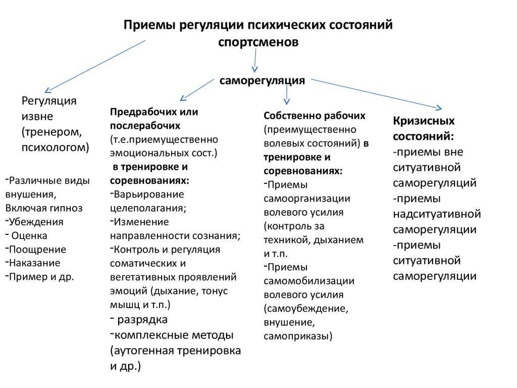 Круговая и силовая тренировка, виды и методы тренировок