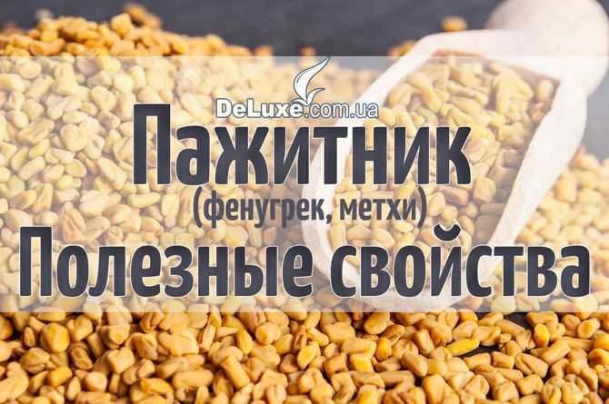 Преимущества пажитника, которые могут изменить жизнь.