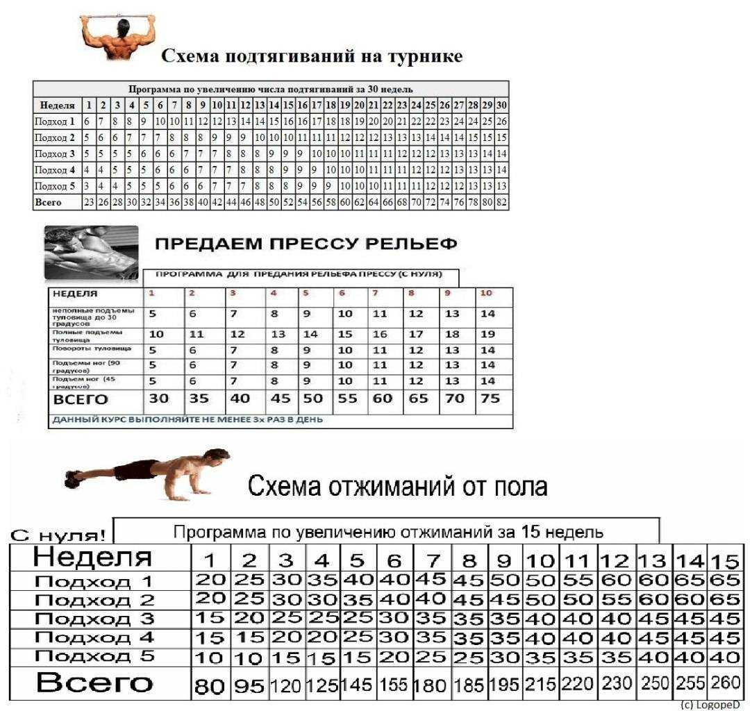 Эффективная программа подтягиваний с нуля на турнике