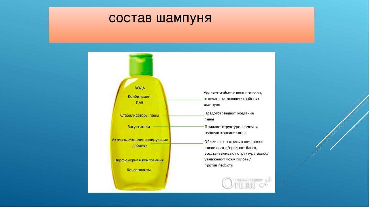 Шампунь для жирных волос: рейтинг самых лучших профессиональных
