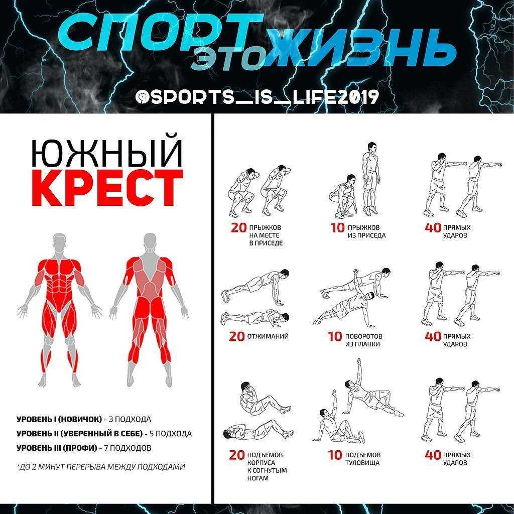 Базовые упражнения с собственным весом — отличное начало для тренировок