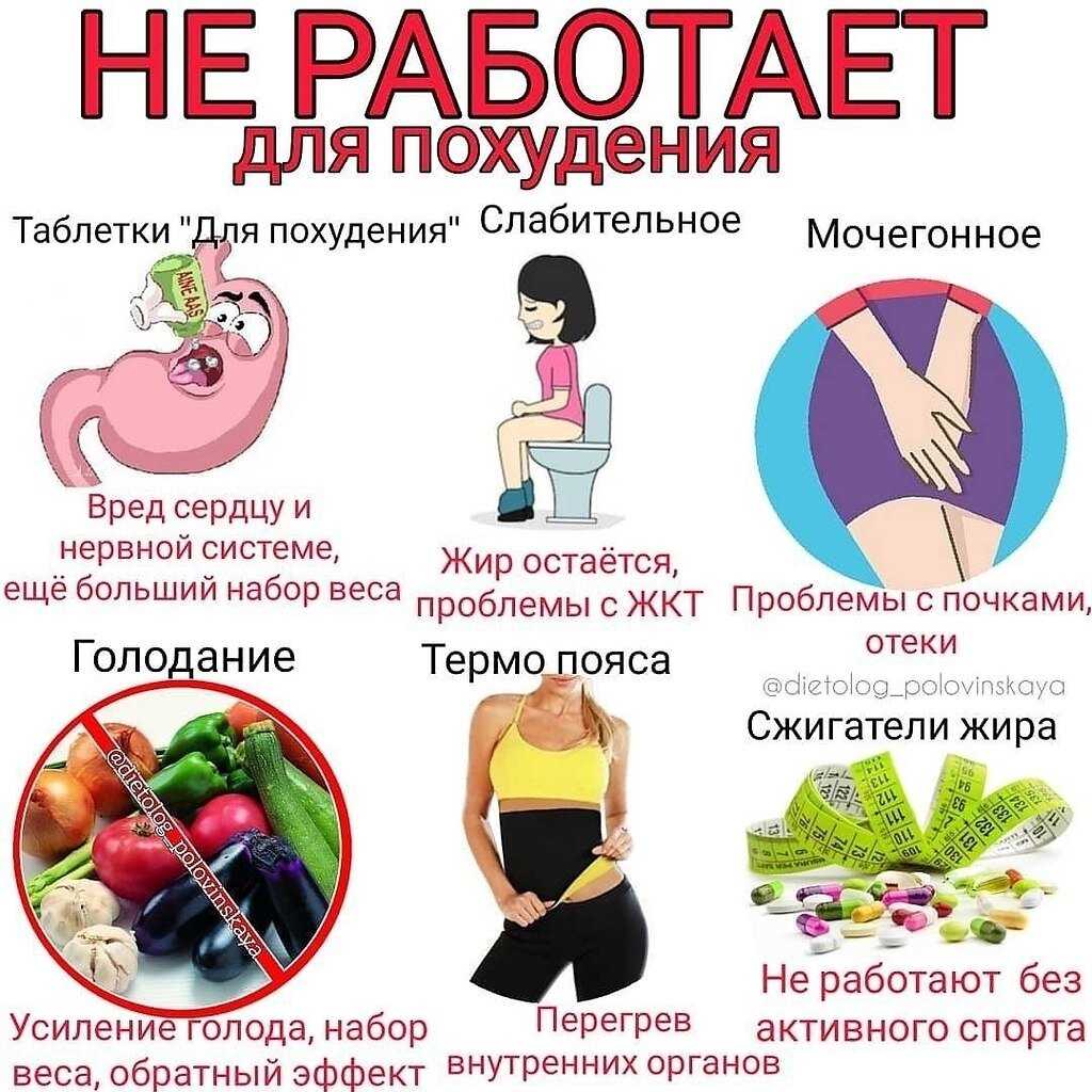 Польза и вред цветной капусты для здоровья организма