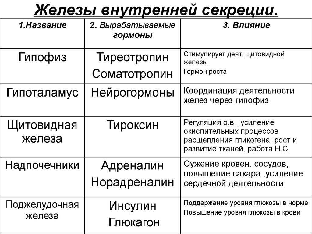Как физические нагрузки влияют на гормоны