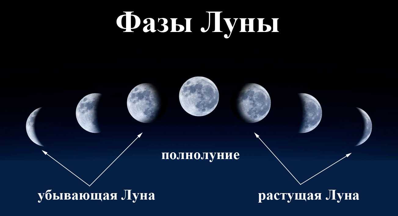 Голодание по лунному календарю экадаши: полезные советы | fok-zdorovie.ru