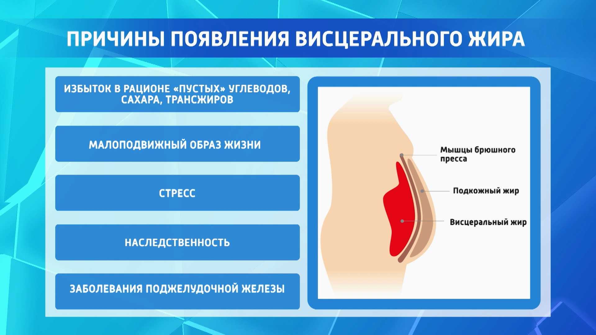 Эффективные упражнения для сжигания жира на животе | rulebody.ru — правила тела