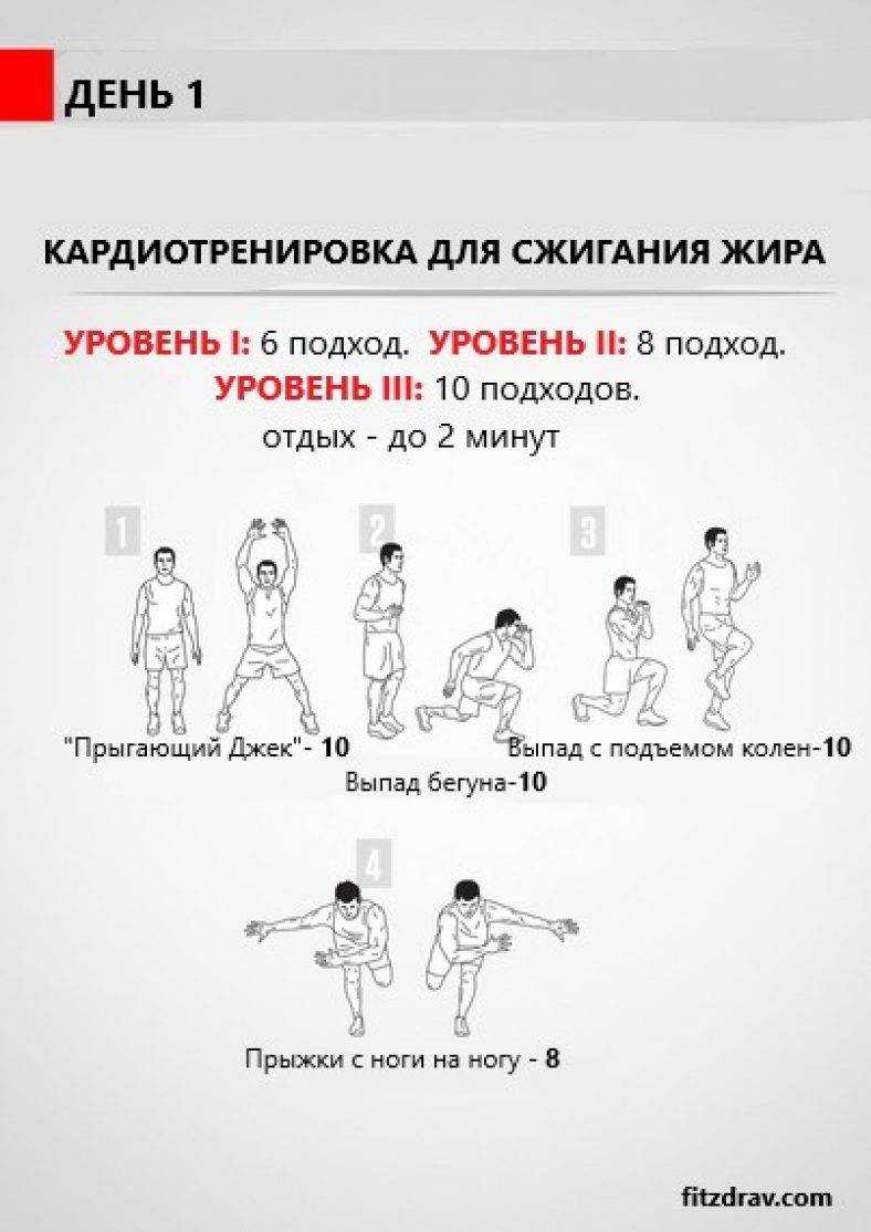 Все, что вы хотели знать о кардио тренировках: сжигает ли спорт на пустой желудок больше жира?