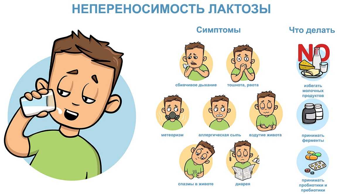 Молочные продукты: употреблять или не употреблять? | relife