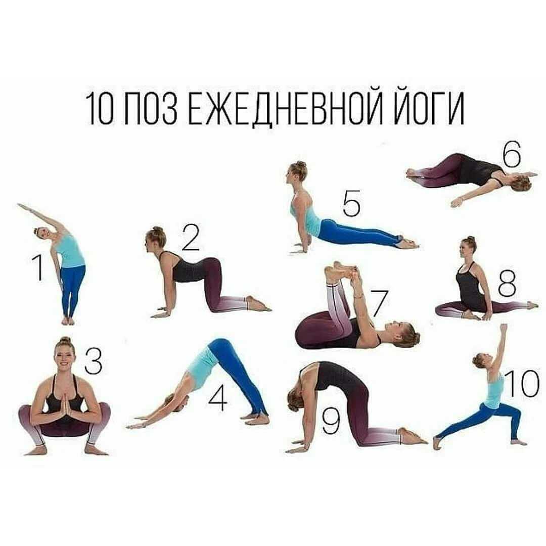 Шейпинг для начинающих: занятия для похудения, плюсы и минусы