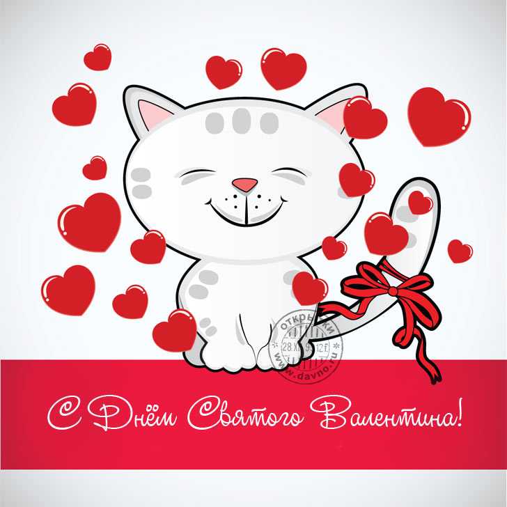 День святого валентина 14 февраля открытка ansichtkaart love, любители кошек любят, млекопитающее, животные, кошка png | pngwing