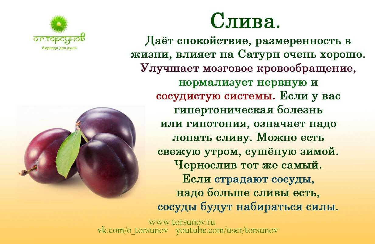 Слива для похудения: польза и вред, основные принципы и правила, примерное меню, рецепты блюд и напитков