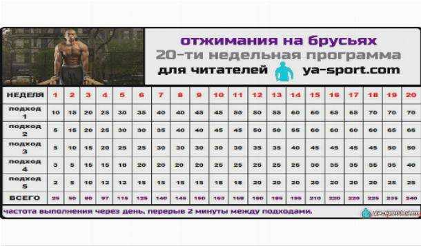 Советы девушкам, как с нуля быстро научиться подтягиваться на турнике