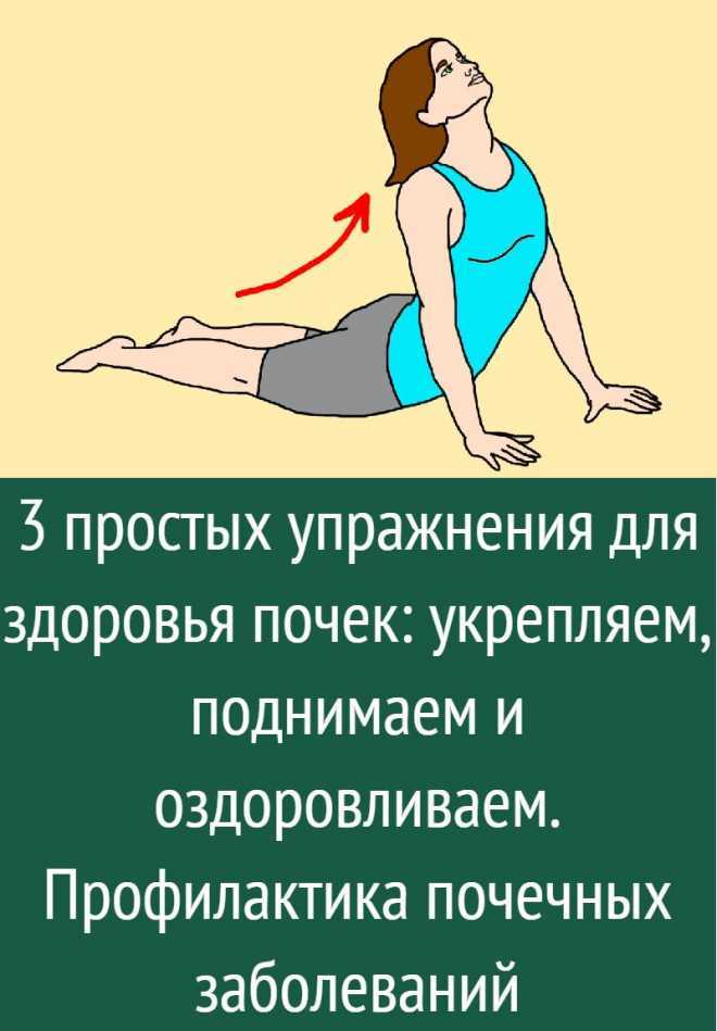 Какие упражнения выполнять при опущении почки (видео): тренировка при нефроптозе, зарядка по бубновскому