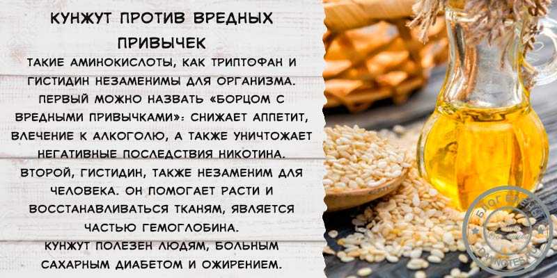 Кунжутное масло: полезные свойства и применение