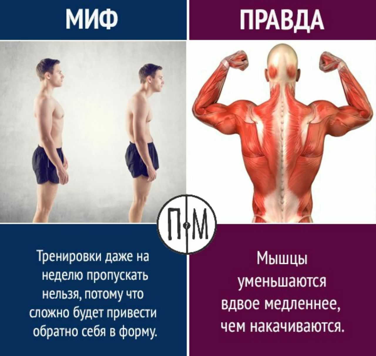 Как растут мышцы
