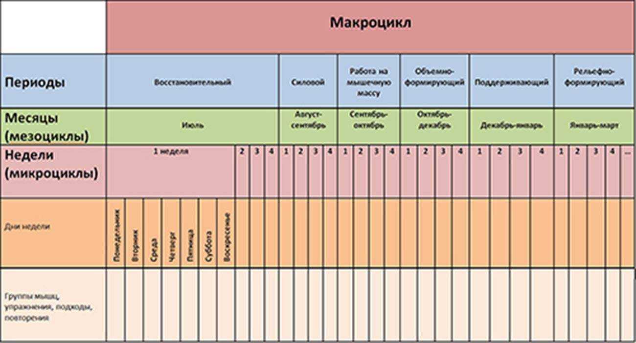 Всё про упражнение становая тяга с плинтов