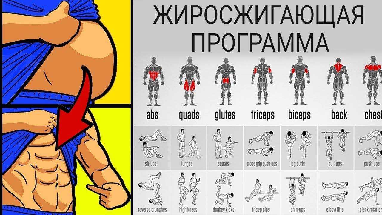 Как привести тело в тонус: 11 шагов (с иллюстрациями)