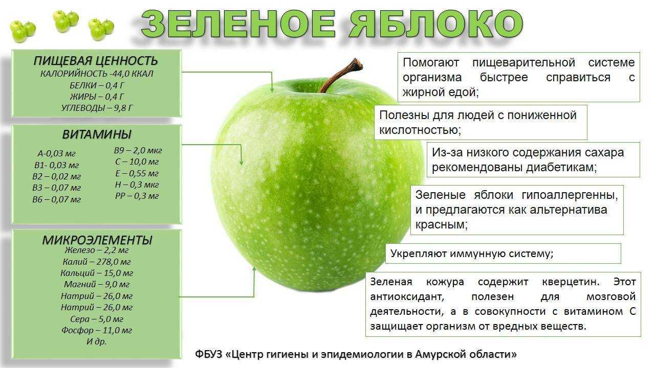 Польза и вред яблочной кожуры, состав и калорийность