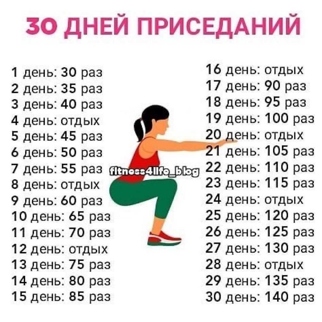 Что может заменить гантели в домашних условиях. чем заменить штангу, если хочется делать присед со штангой, но нет возможности ходить в зал? чем заменить приседания со штангой, если болит спина