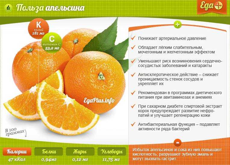 Апельсин: что за фрукт, где растет, состав, польза, вред, применение