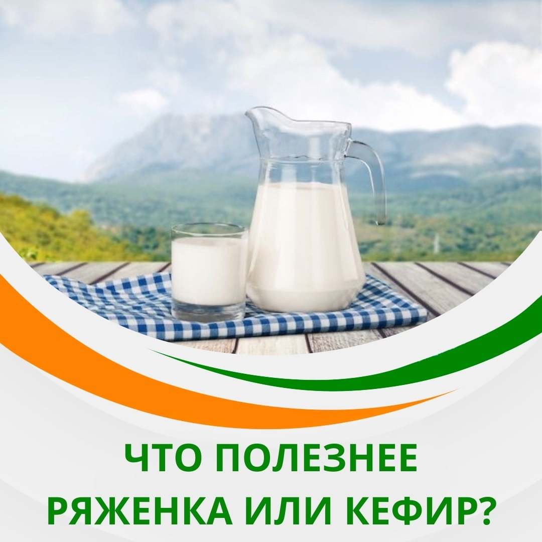 Что полезнее: ряженка, кефир, простокваша, варенец, снежок или катык? чем полезен снежок и что можно из него приготовить