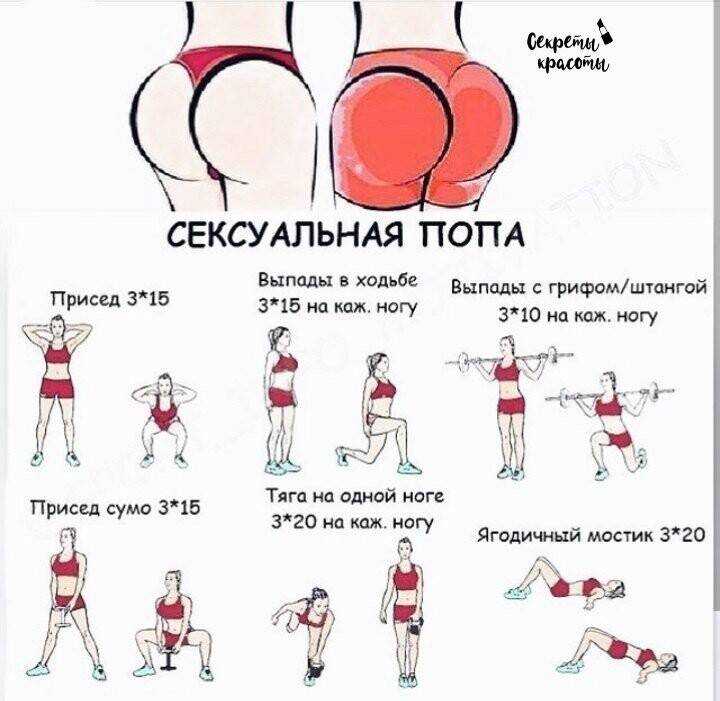 Упражнения на нижний пресс: как накачать — 4 единственно эффективных упражнения