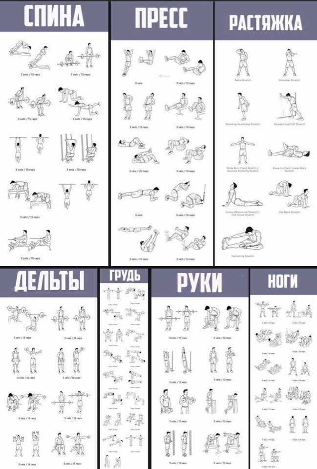 Программа силовой тренировки в домашних условиях для девушек