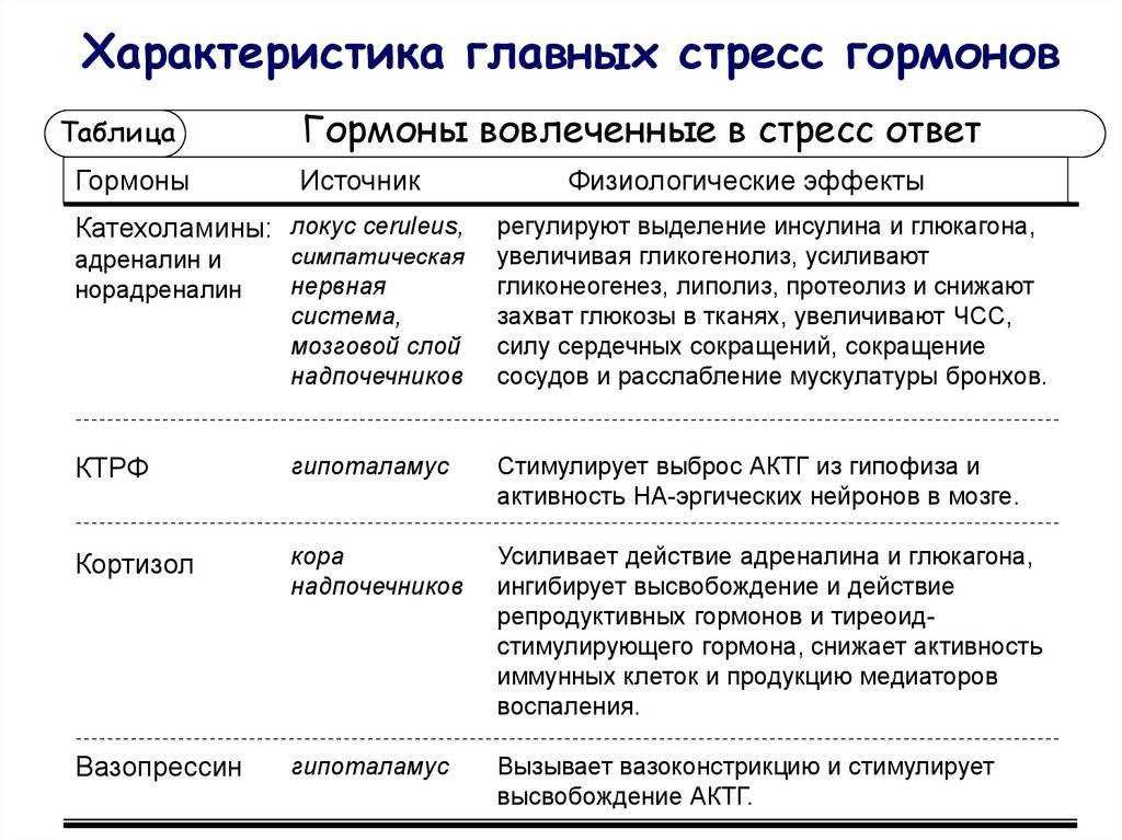 Гормон кортизол: главный фактор стресса
