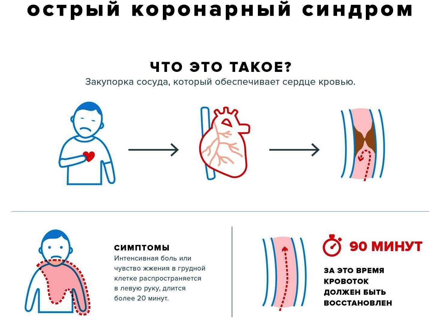 Фитнес для пожилых людей: для начинающих, польза, комплекс упражнений, тренировка тонуса мышц