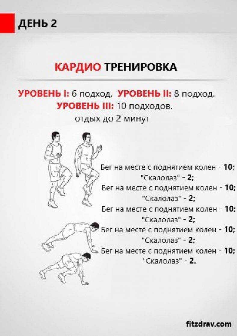 Кардио тренировка дома для похудения