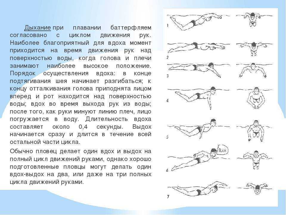 Как правильно плавать баттерфляем: самостоятельно научиться с нуля