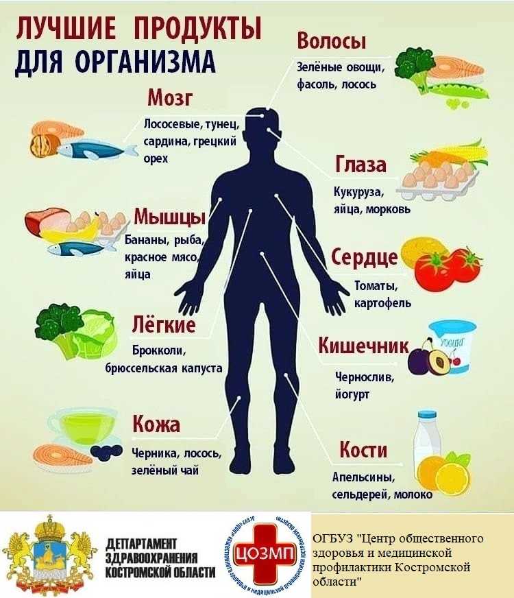 Вредные овощи, фрукты и ягоды для здоровья организма