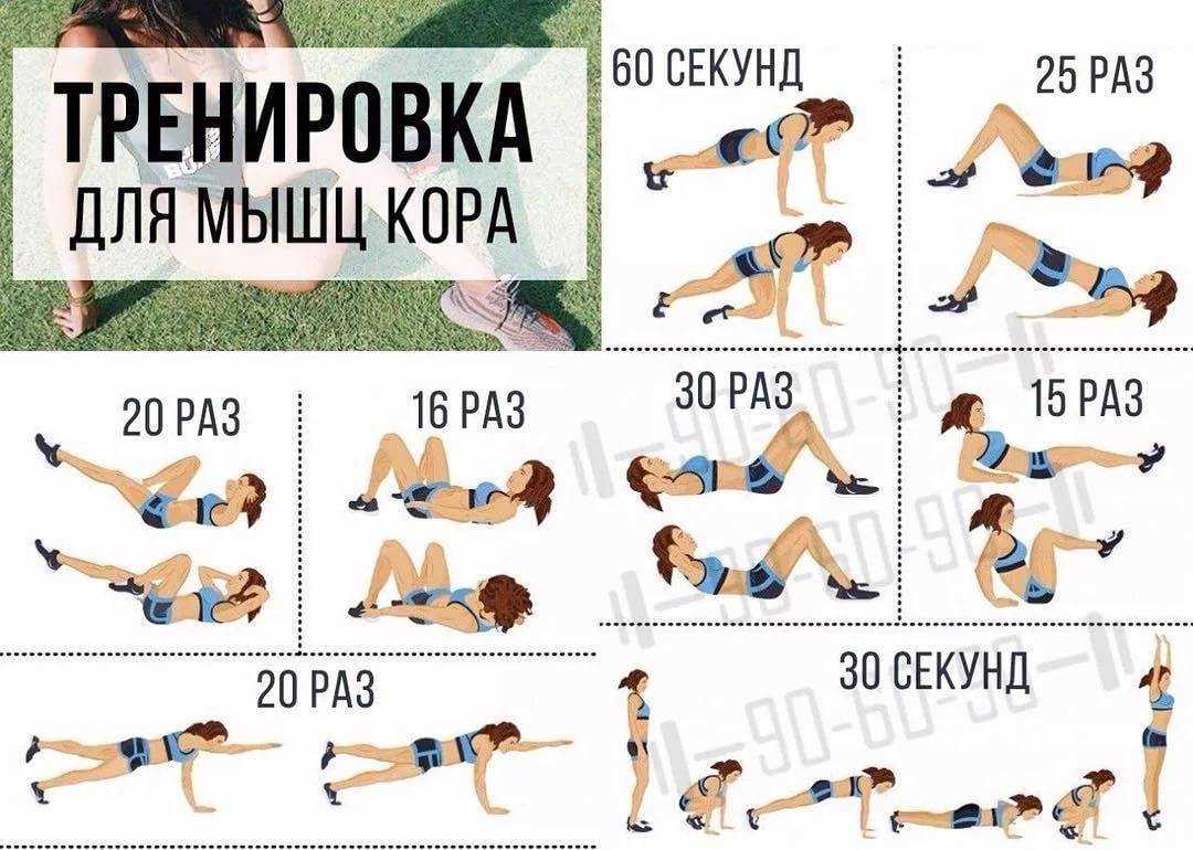 Как накачать пресс девушке: 18 упражнений и программы
