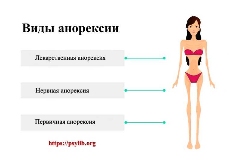 Не только овощи и баня! эксперт разъяснил, насколько безопасна диета анастасии волочковой - городче