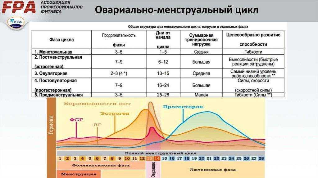 Можно ли заниматься спортом во время месячных — советы врача